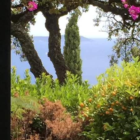 Vue Epoustouflante ヴィラ Le Rayol-Canadel-sur-Mer