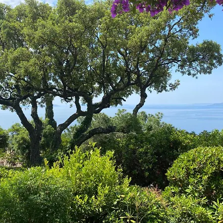 Vue Epoustouflante